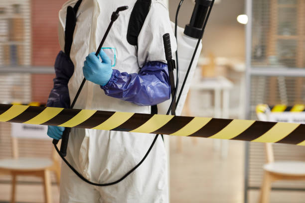Professional Hoarding Cleanup technician working in Hebron, NH